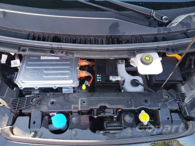 2024 BYD DOLPHIN MINI 