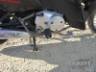 2015 HONDA BIZ 