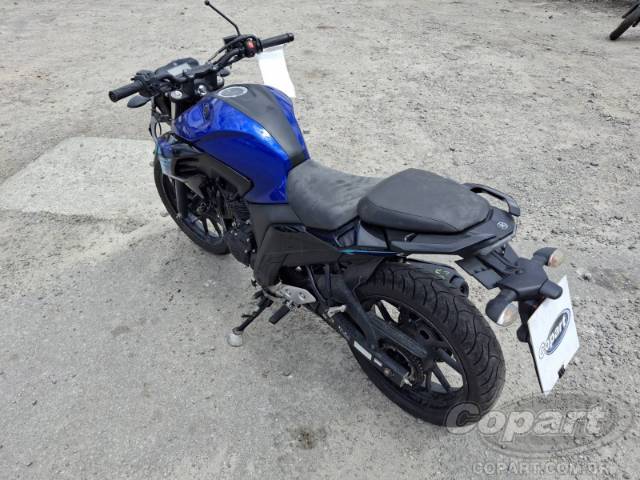 2024 YAMAHA FZ25 FAZER 