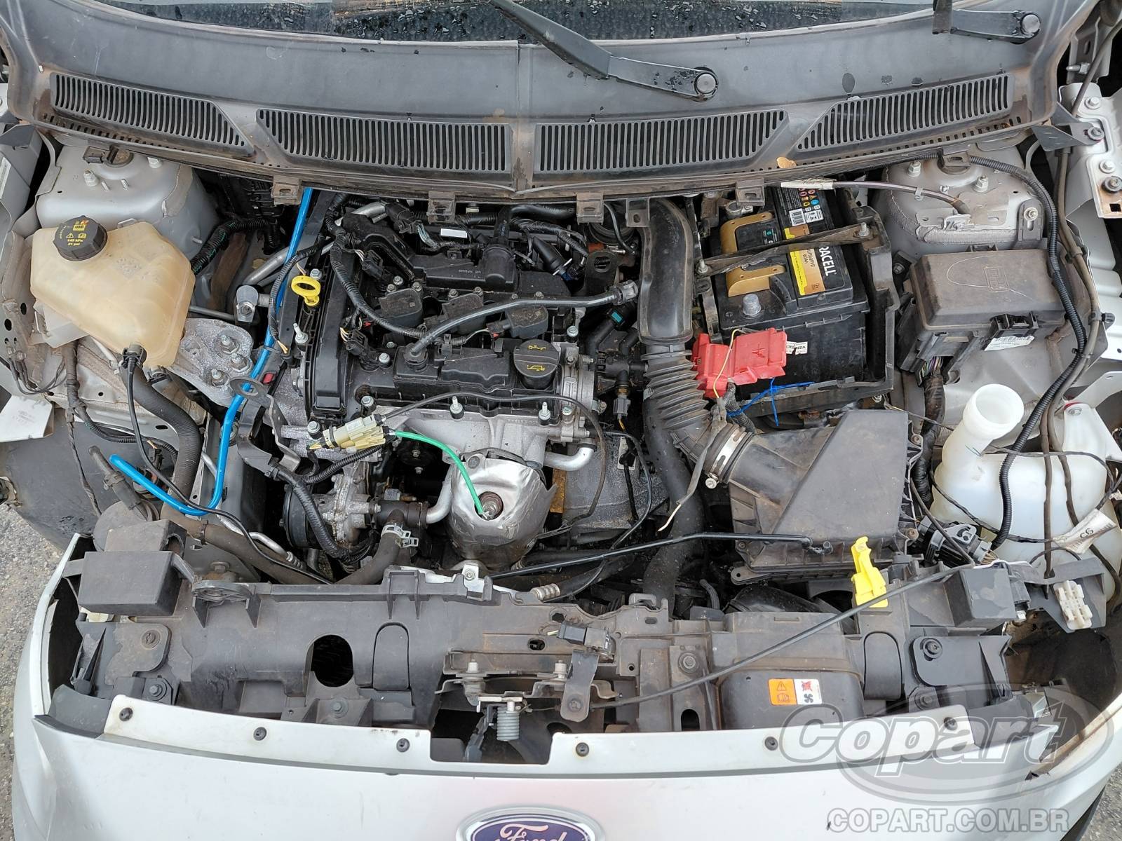 Foto 7 de 11: 2018 FORD KA
