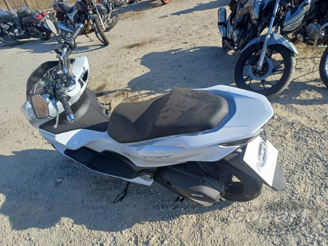 2025 HONDA PCX 