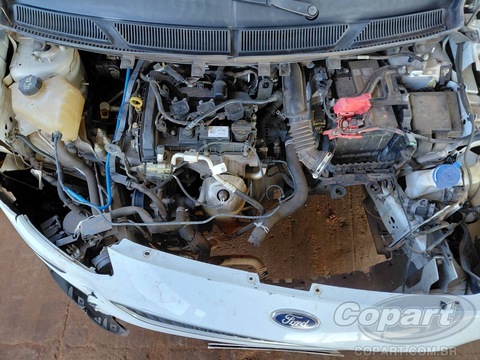 Foto 7 de 10: 2019 FORD KA