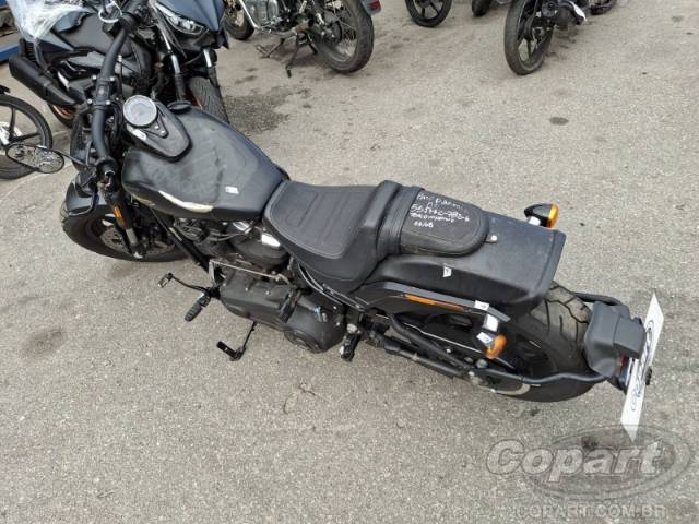 2019 HARLEY-DAVIDSON SOFTAIL 