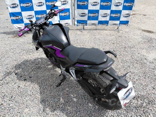 2024 HONDA CB 300F 