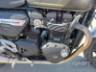 2024 TRIUMPH SPEED TWIN 