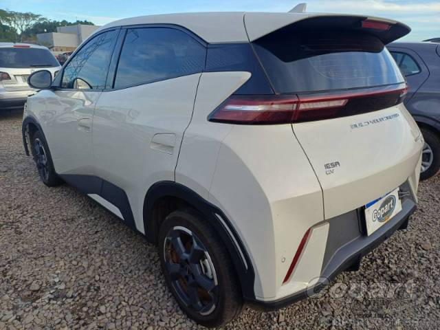 2025 BYD DOLPHIN MINI 