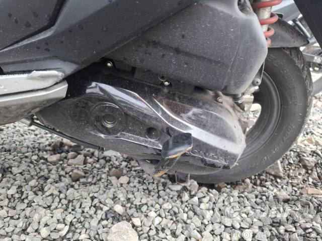 2026 HONDA ELITE 