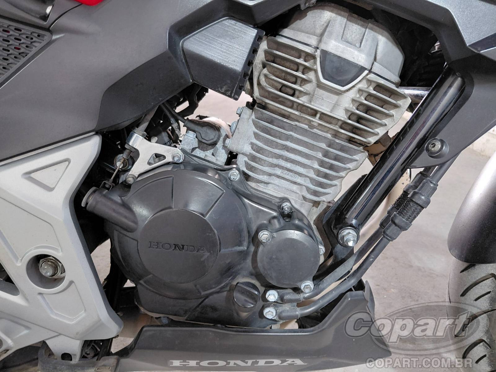 Foto 5: 2023 HONDA CB 300F