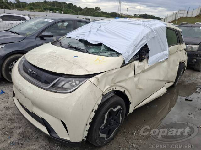 2026 BYD DOLPHIN 