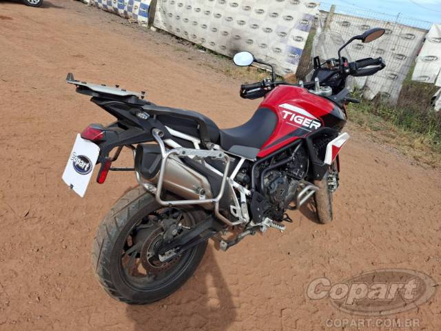 2024 TRIUMPH TIGER 