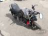 2024 TRIUMPH TRIDENT 