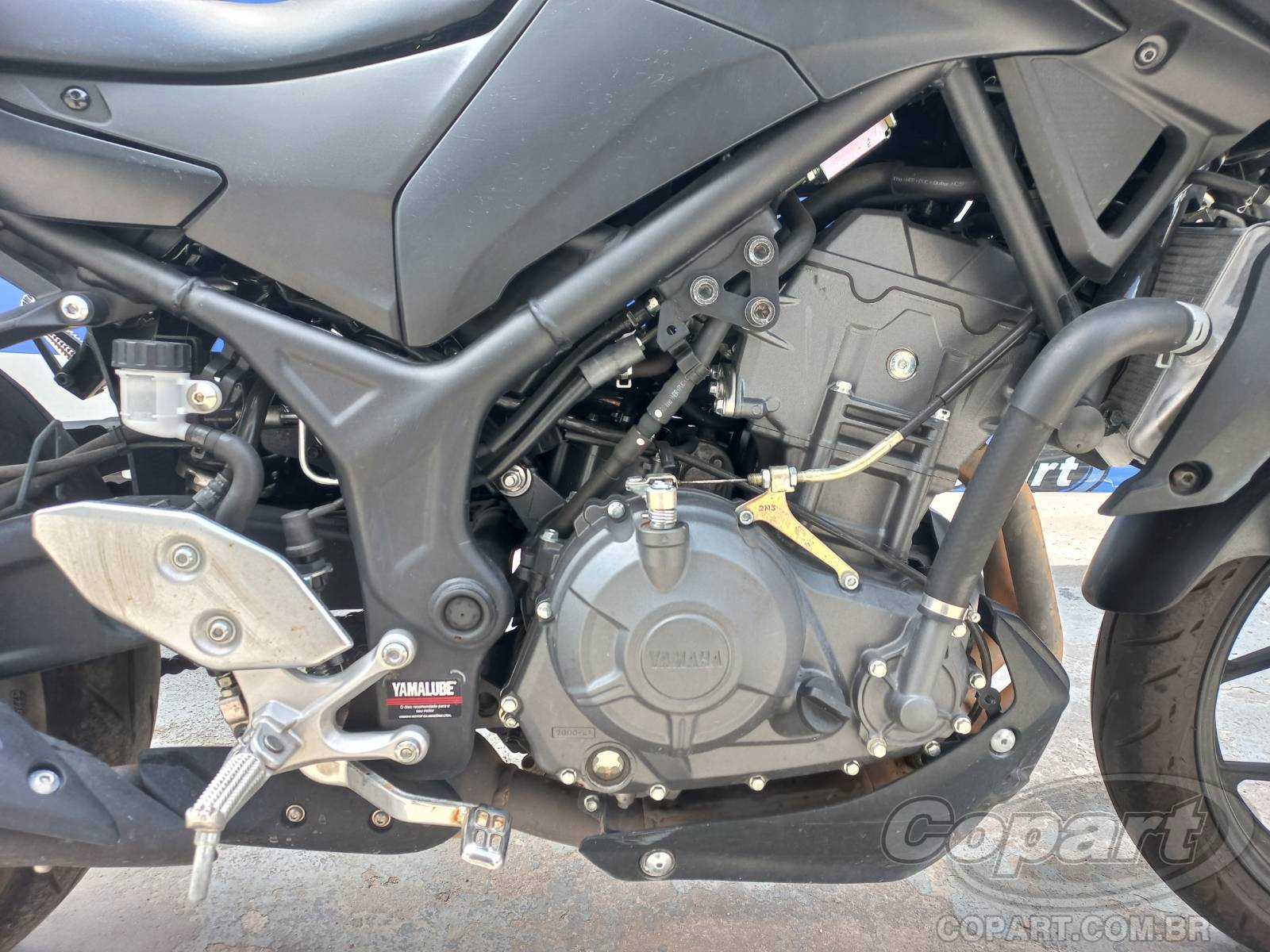 Foto 5: 2026 YAMAHA MT-03