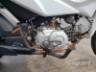 2019 HONDA POP 