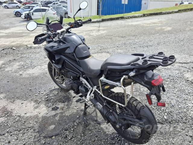2024 TRIUMPH TIGER 