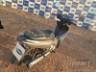 2024 HONDA BIZ 