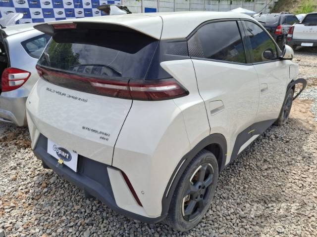 2025 BYD DOLPHIN MINI 