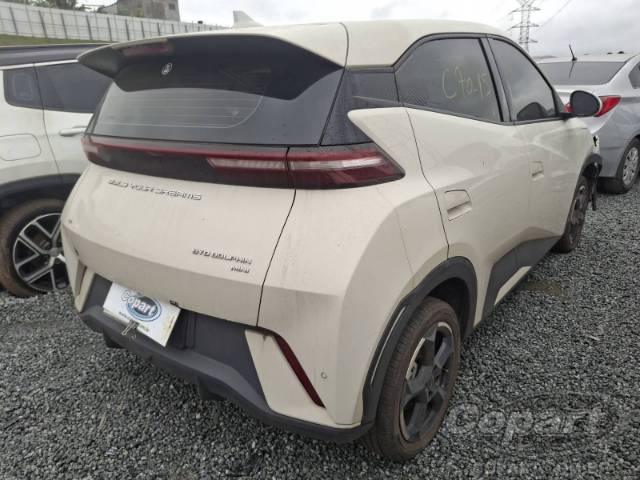 2024 BYD DOLPHIN MINI 