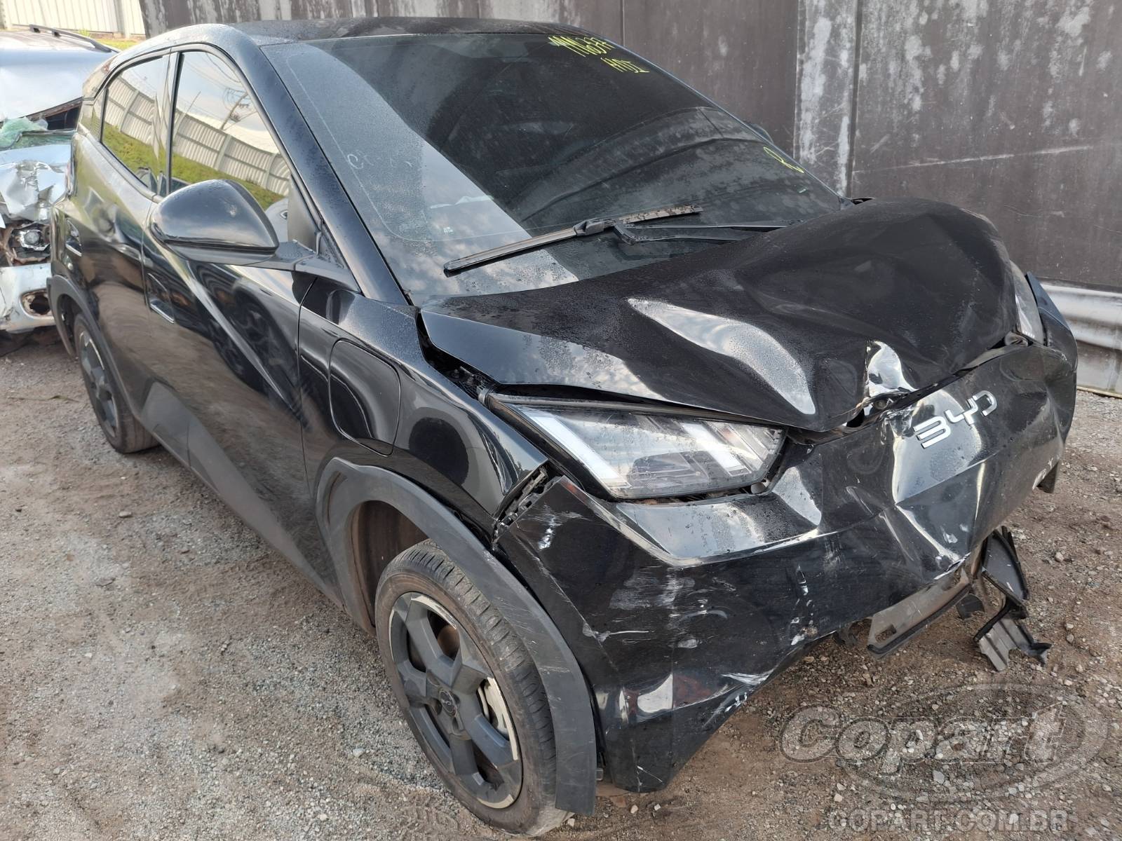 BYD Dolphin Mini 2024