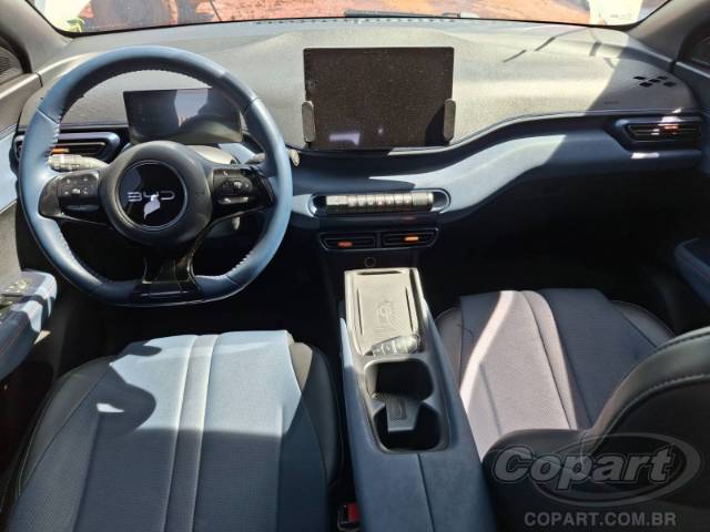 2025 BYD DOLPHIN MINI 