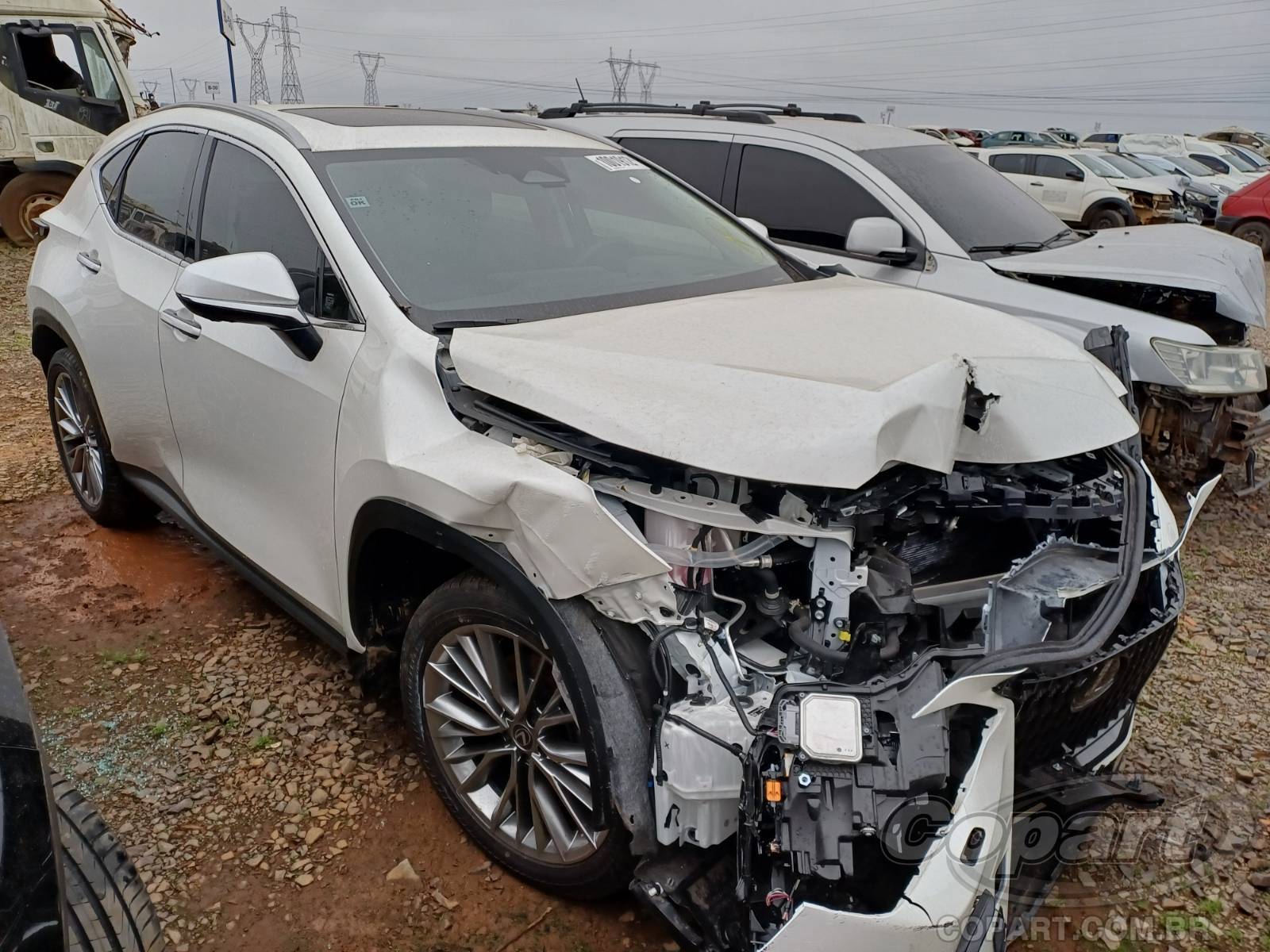 Veículo Toyota LEXUS LEXUS NX 350h Luxury 2025 Colisão Média Monta 2025 em leilão