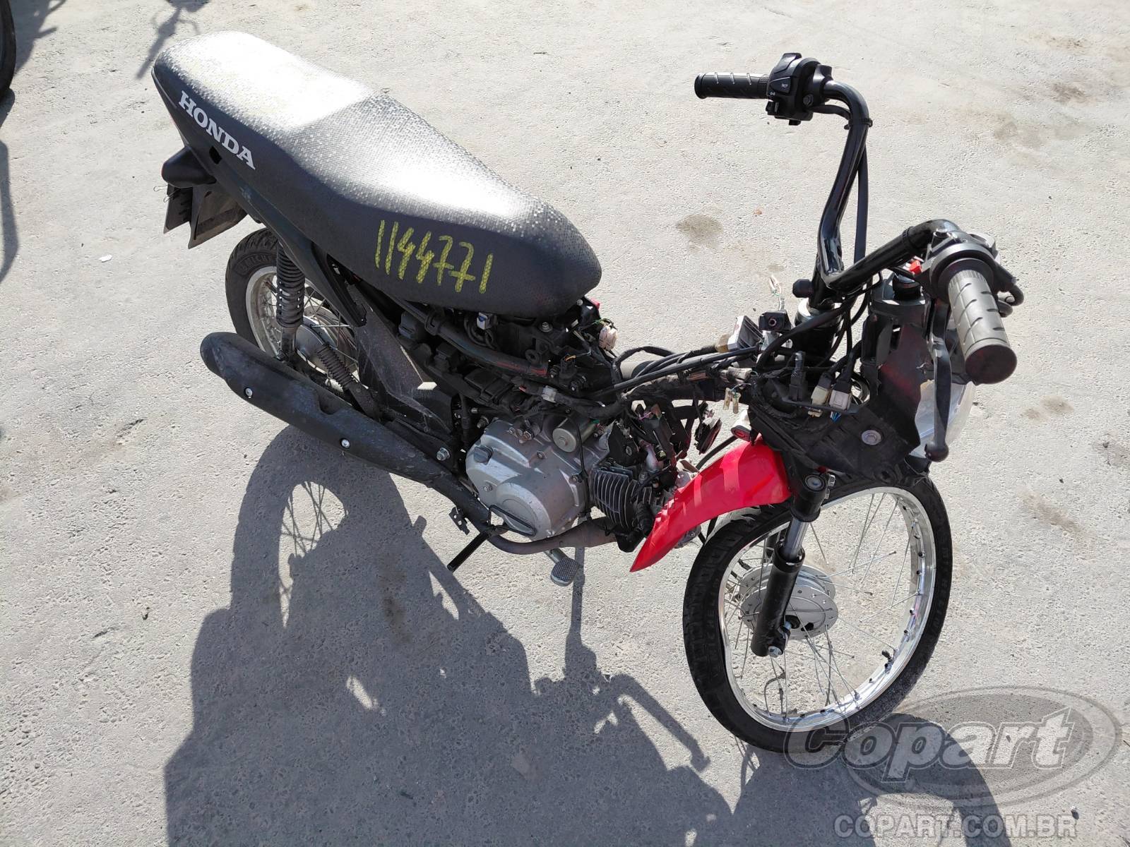 2025 HONDA POP