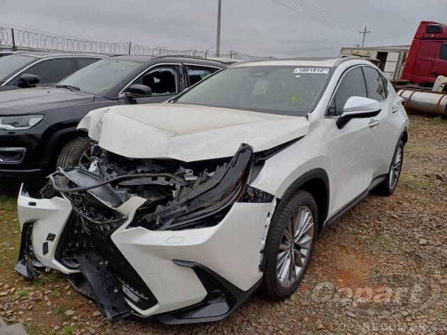 2025 LEXUS NX 