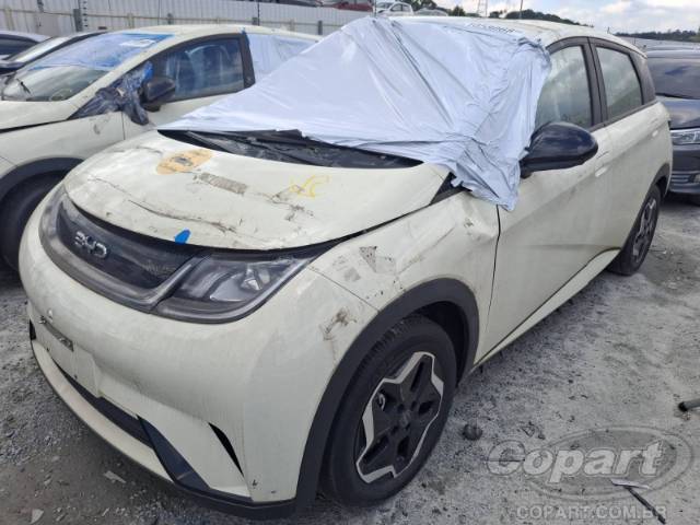 2026 BYD DOLPHIN 