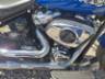 2025 HARLEY-DAVIDSON SOFTAIL 