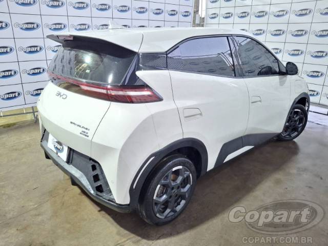 2026 BYD DOLPHIN MINI 