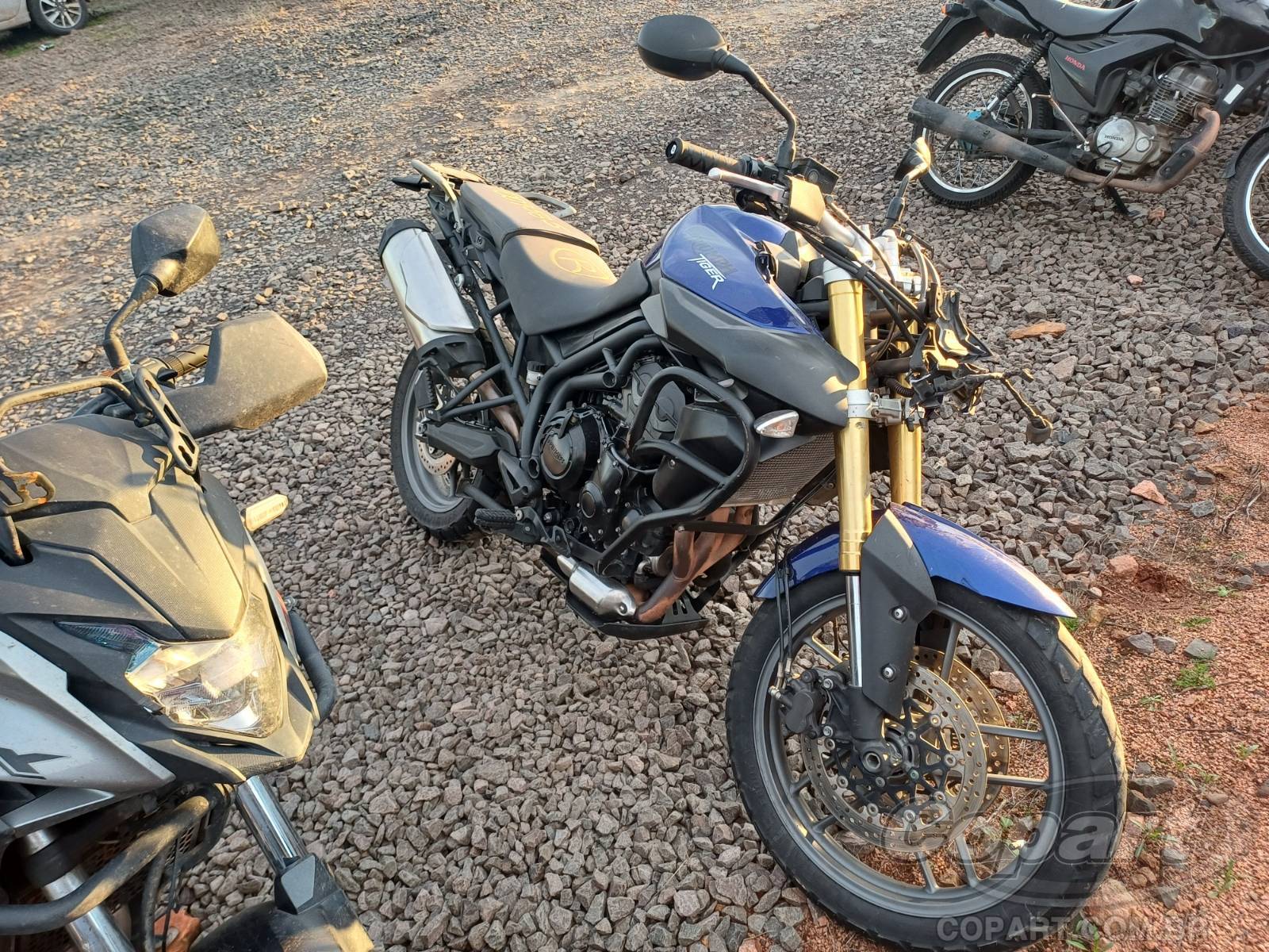 TRIUMPH TIGER 2015 Colisão Média Monta