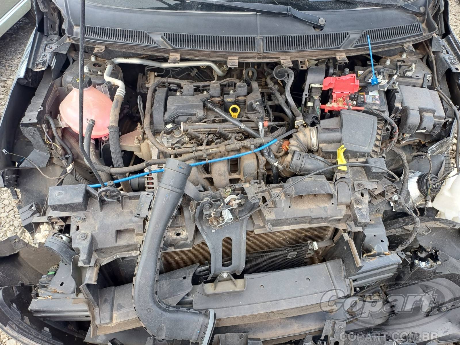 Foto 7 de 10: 2019 FORD KA