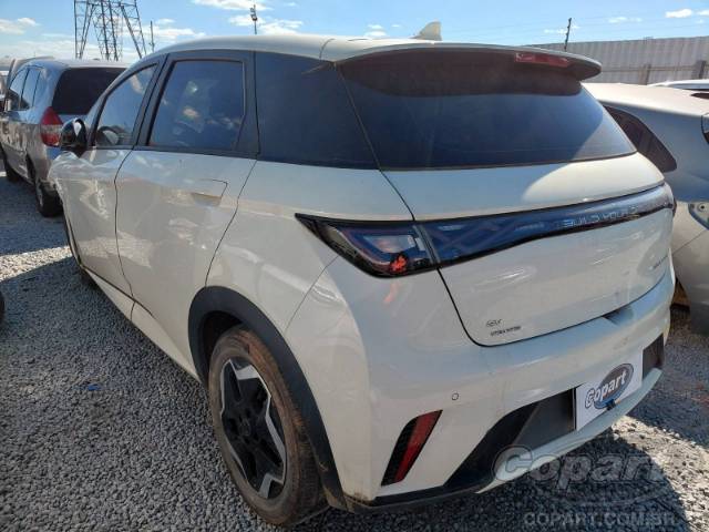 2024 BYD DOLPHIN 