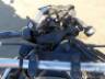 2026 YAMAHA MT-03 