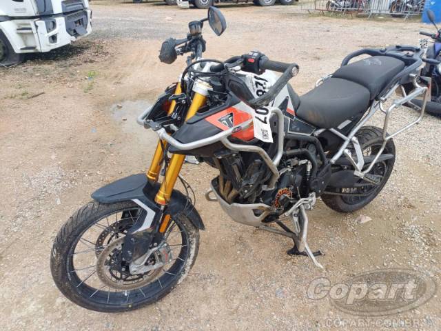 2024 TRIUMPH TIGER 