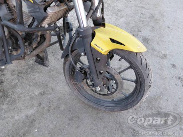2024 HONDA CB 300F 