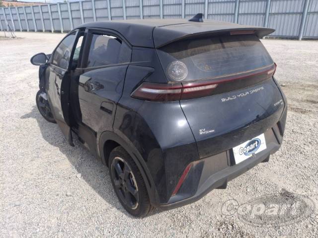 2025 BYD DOLPHIN MINI 