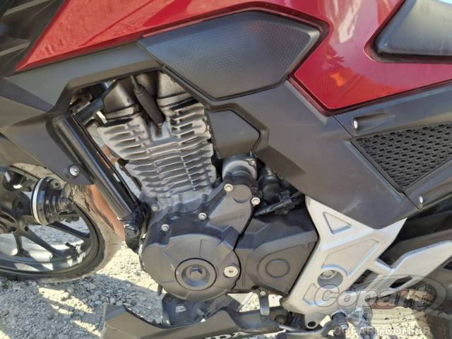 2025 HONDA CB 300F 