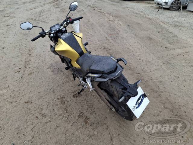 2023 HONDA CB 300F 