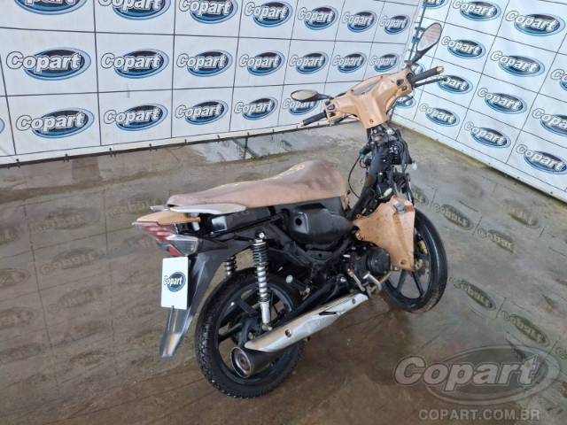 2023 SHINERAY 50Q 
