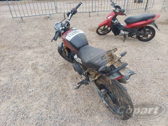 2025 TRIUMPH SPEED 