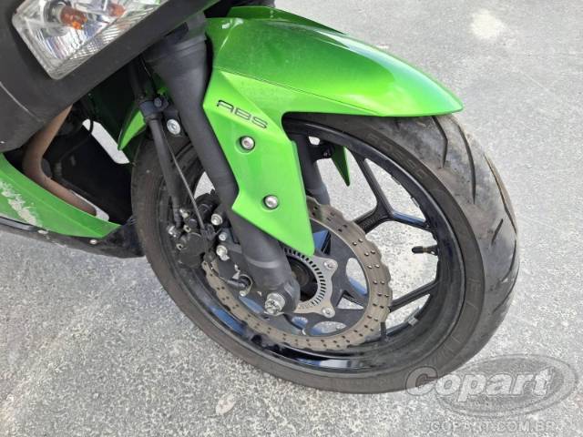 2024 KAWASAKI NINJA 300 