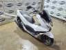 2025 HONDA PCX 