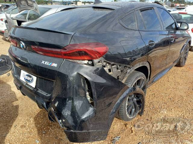 2021 BMW X6 