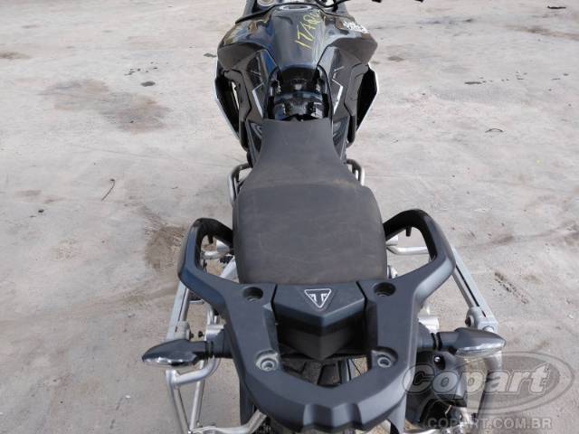 2024 TRIUMPH TIGER 