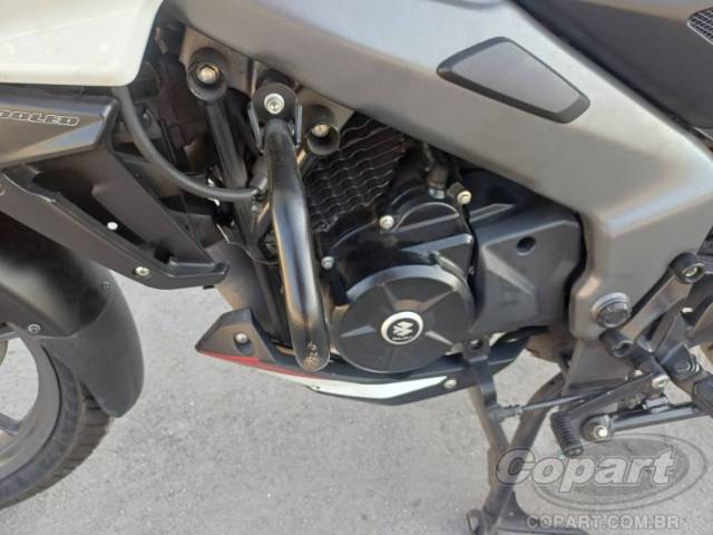 2024 BAJAJ DOMINAR 