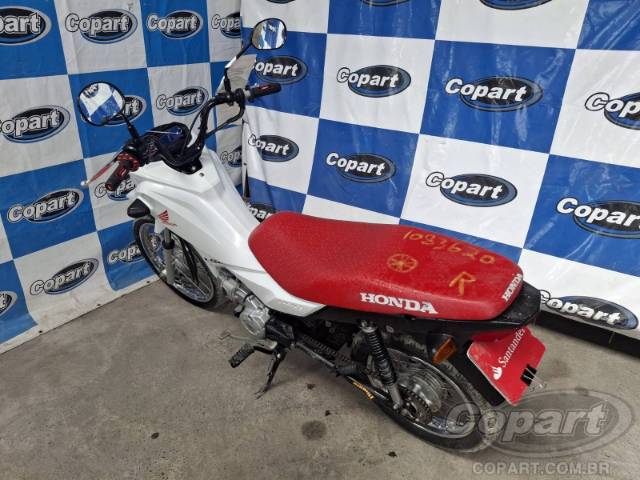 2024 HONDA POP 