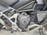 2024 TRIUMPH TIGER 