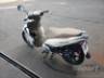 2019 HONDA BIZ 