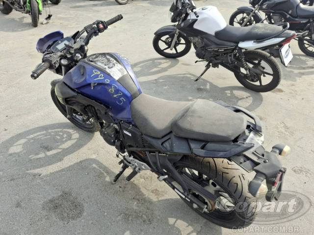2024 YAMAHA FZ25 FAZER 