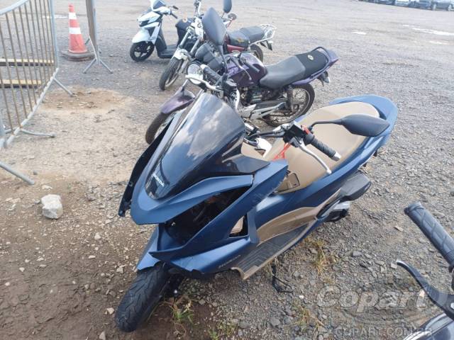 2024 HONDA PCX 